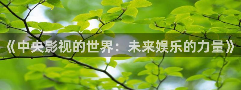 紅葉影院：《中央影視的世界：未來娛樂的力量》