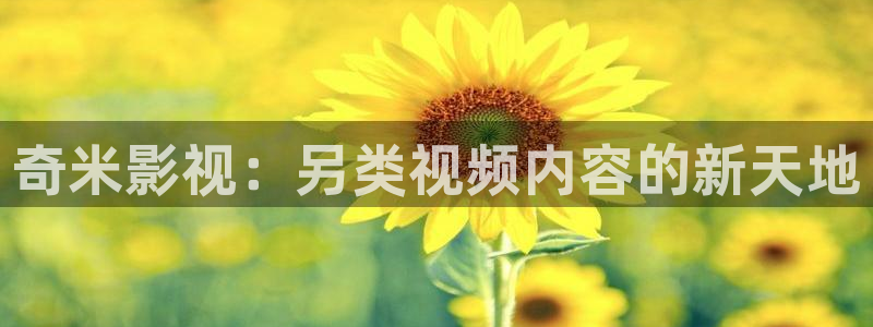 紅葉電影今日影訊：奇米影視：另類視頻內容的新天地