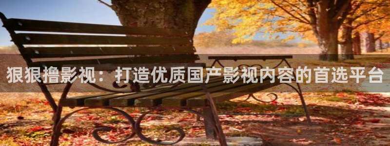 紅葉電影院今日影訊：狠狠擼影視：打造優質國產影視內容的首選平臺